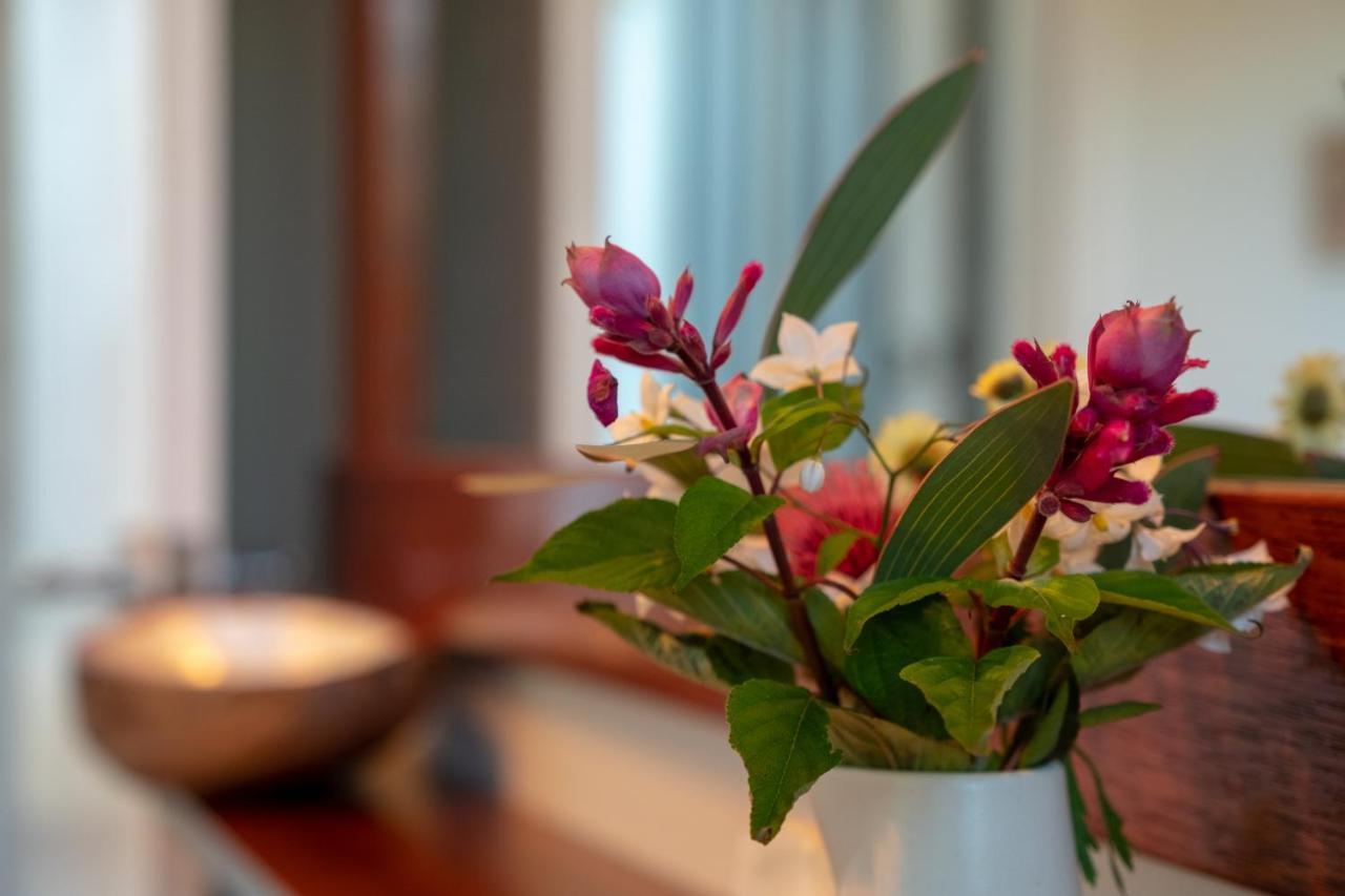 Tully Cottage B&B Сейнт Хелънс Екстериор снимка